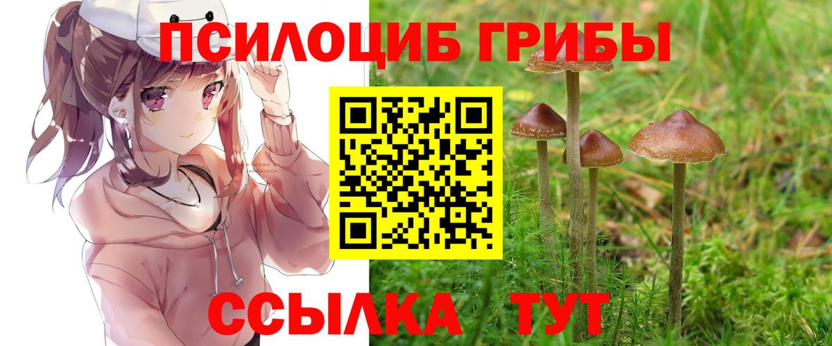 Рославль  Галлюциногенные грибы Psilocybe  Вход с VPN  Галлюциногенные грибы MAGIC MUSHROOMS 